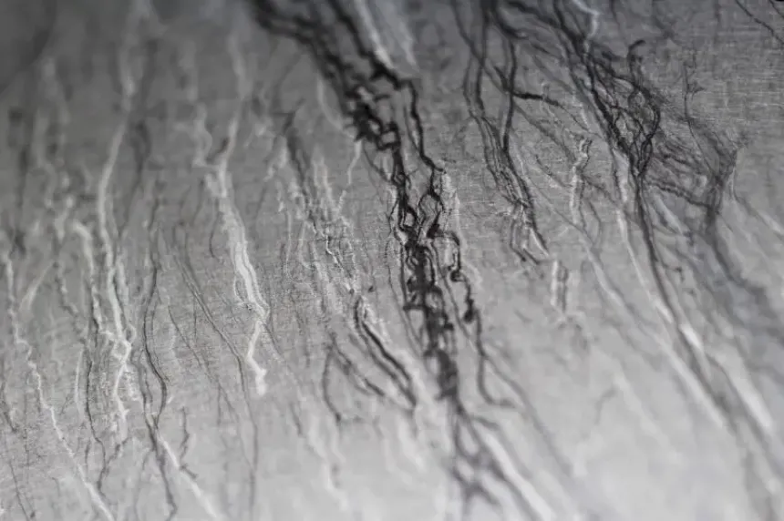 2Dステンレス建材【梅枝】