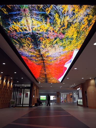 LUFASチラシ(光る装飾)」