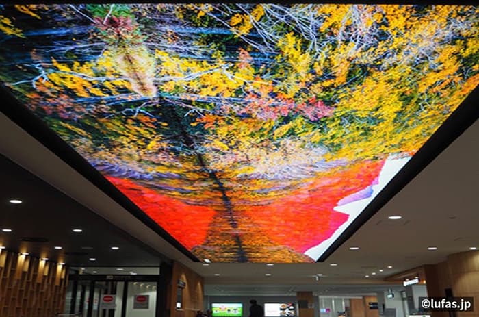 国際特許取得のフレーム、LUFAS<壁面での使用>