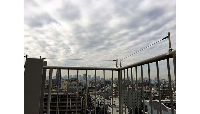 アルティマ防鳥(鳩よけ)ワイヤー (PAT)