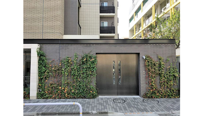 アルティマ壁面緑化システム 緑化用「スパイラルワイヤー」使用