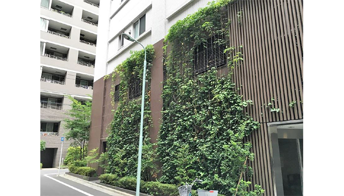 アルティマ壁面緑化システム 緑化用「スパイラルワイヤー」使用