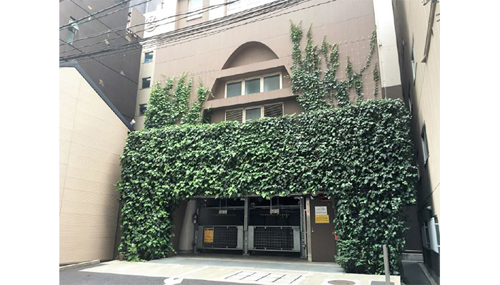 アルティマ壁面緑化システム 緑化用「スパイラルワイヤー」使用