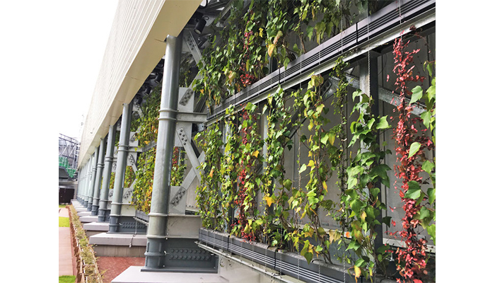 アルティマ壁面緑化システム 緑化用「スパイラルワイヤー」使用