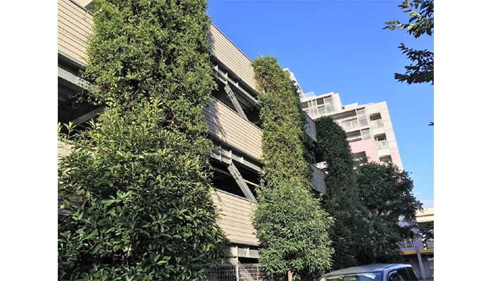 アルティマ壁面緑化システム 緑化用「スパイラルワイヤー」使用