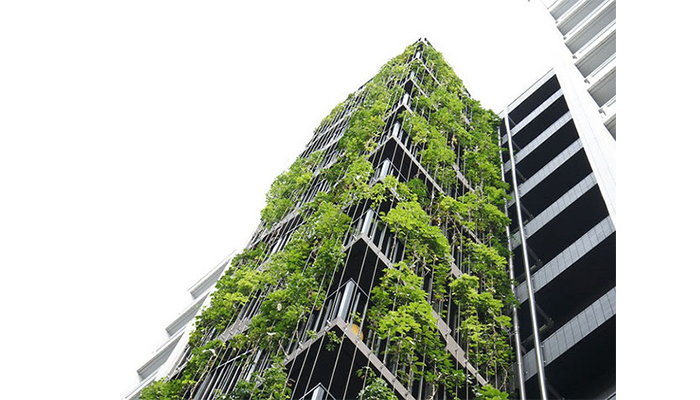 アルティマ壁面緑化システム 緑化用「スパイラルワイヤー」使用