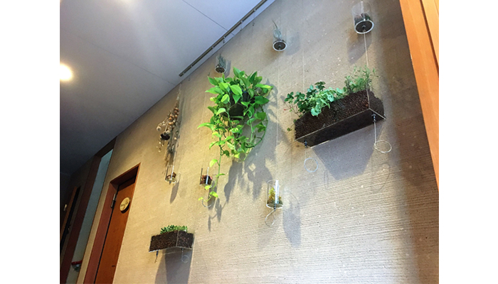 屋内緑化&空間演出 アルティマ グリューネ・フェンスター