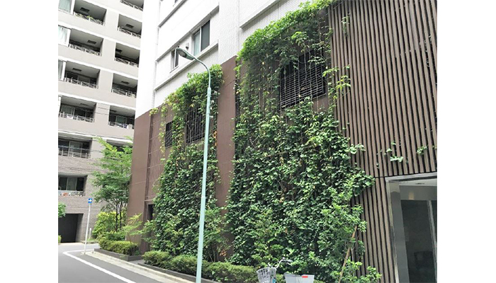 アルティマ壁面緑化システム 緑化用「スパイラルワイヤー」使用