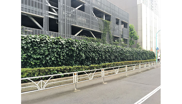 アルティマ壁面緑化システム 緑化用「スパイラルワイヤー」使用
