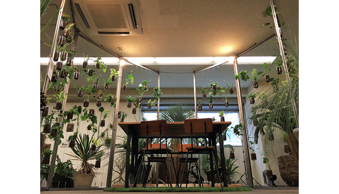 屋内緑化&空間演出 アルティマ グリューネ・フェンスター