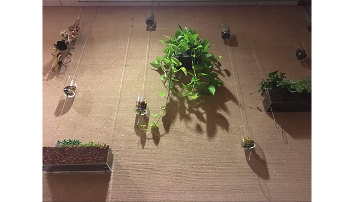 屋内緑化&空間演出 アルティマ グリューネ・フェンスター