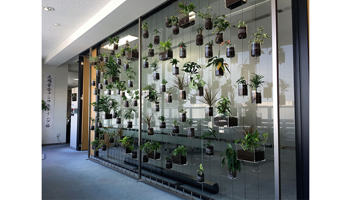 屋内緑化&空間演出 アルティマ グリューネ・フェンスター