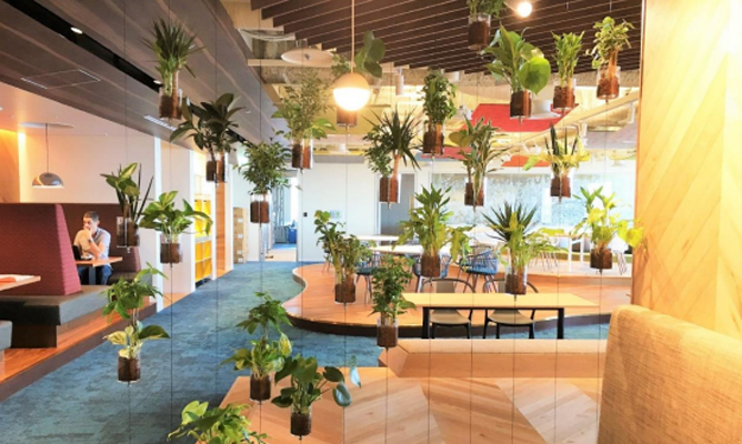 屋内緑化&空間演出 アルティマ グリューネ・フェンスター