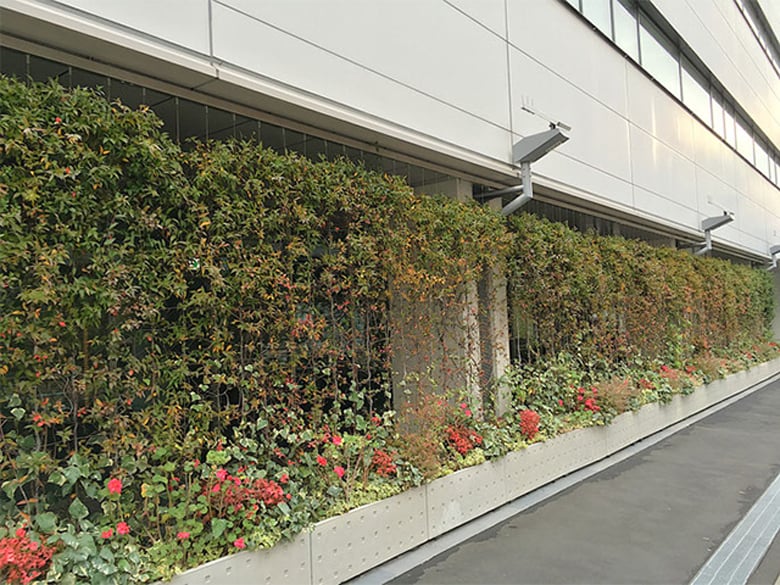 ワイヤー・プランター一体型壁面緑化工法 アルティマ壁面緑化システム(プランター仕様)
