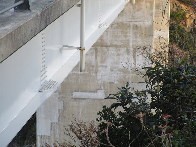 リアクトライズ®&amp;カルサプリ®