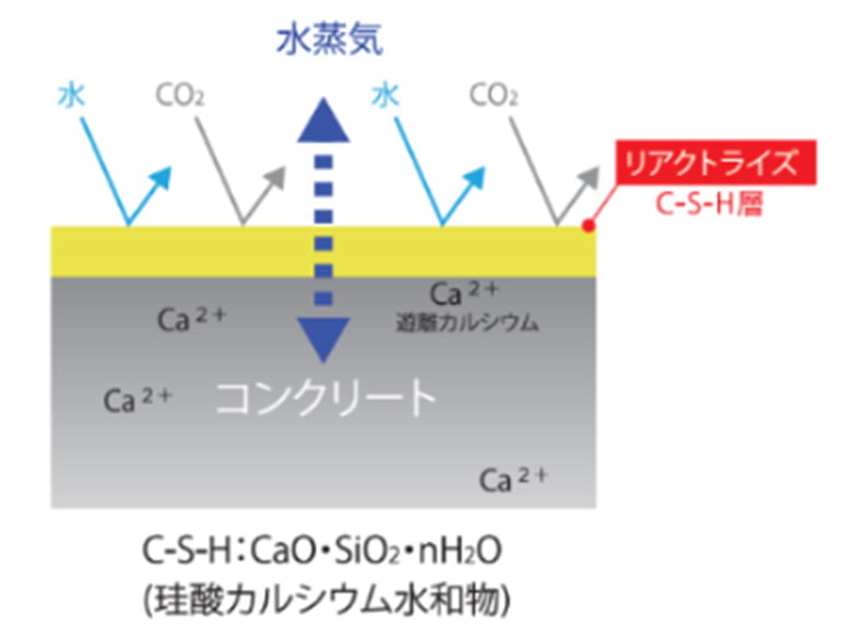 リアクトライズ(けい酸塩系表面含浸剤)