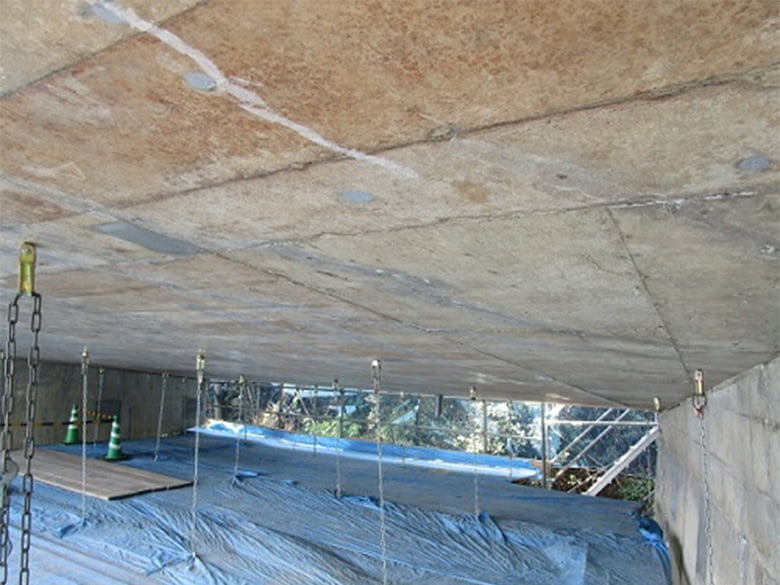 リアクトライズ®&カルサプリ®