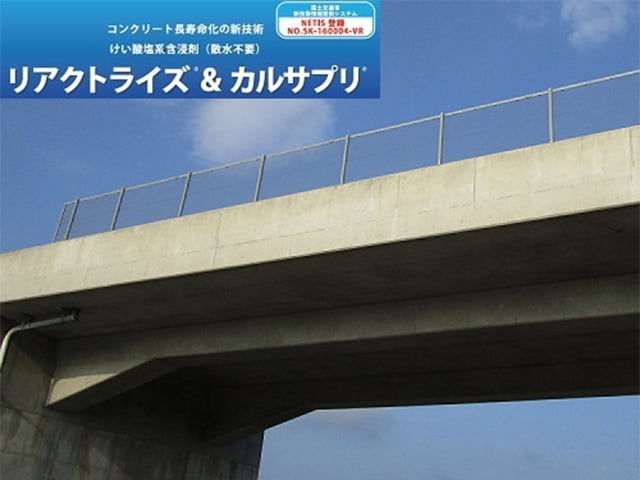 リアクトライズ®&amp;カルサプリ®