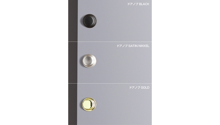 【P-RDG】ペイントドア(塗装品 / 片開き)