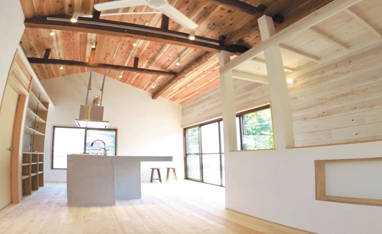 天然水硬性漆喰 NHL Revex Cal / VONSUMAINE株式会社