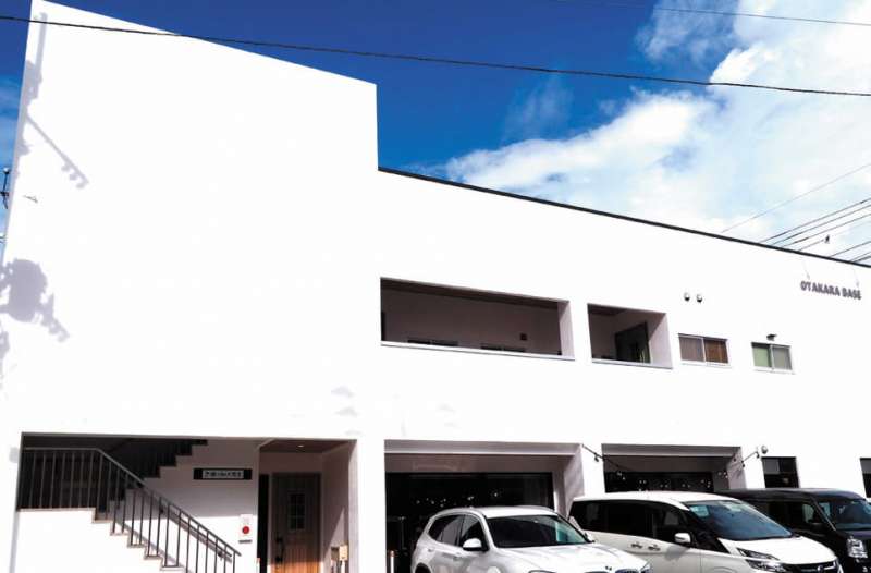 天然水硬性漆喰 NHL Revex Cal / VONSUMAINE株式会社