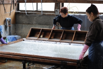 和紙製作の様子/和紙屋(株式会社杉原商店)