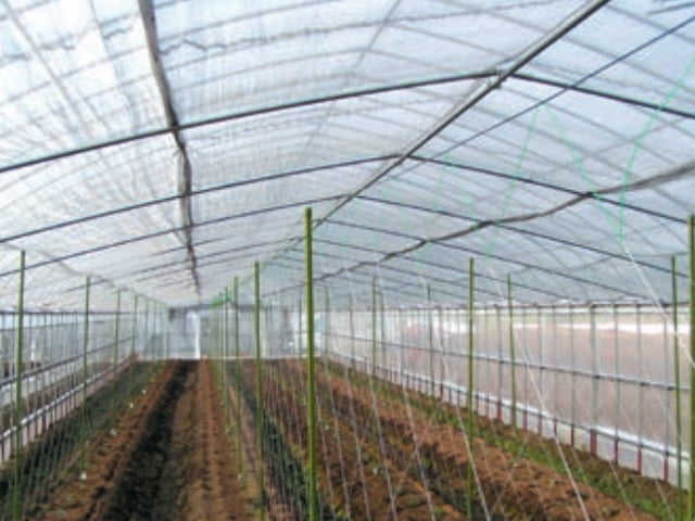 ら～くらくネット