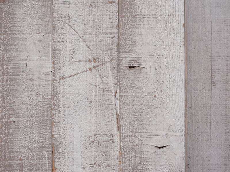 ホワイトカラー/ワイルドホワイト