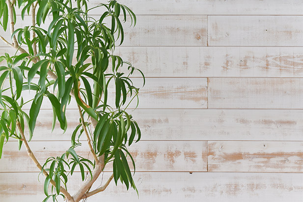 VINTAGE WOOD PANEL ヴィンテージ加工ウッドパネル