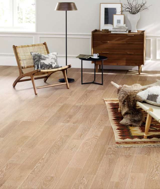 ライブナチュラルプレミアム MOMENT