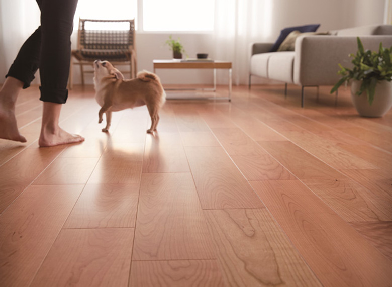 フローリング【ライブナチュラル for Dog(L-40)】/朝日ウッドテック株式会社