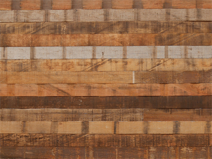 トレードウィンズ パティーナ