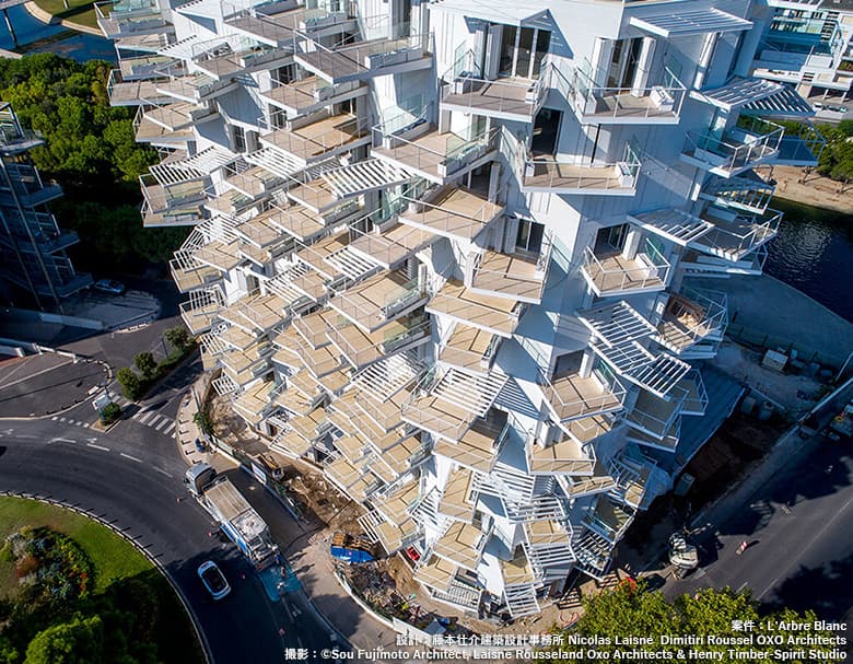 高耐久化天然木材「アコヤ」/池上産業株式会社