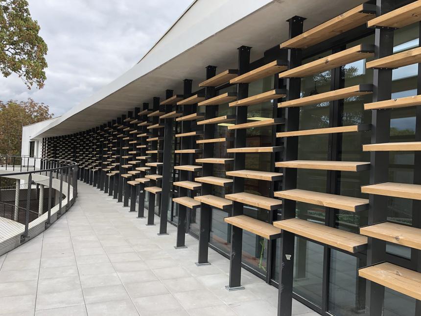 高熱乾燥処理木材パインサーモウッド