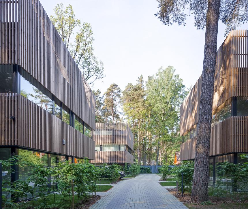 高熱乾燥処理木材パインサーモウッド