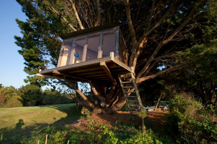 高熱乾燥処理木材パインサーモウッド