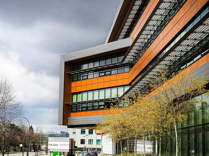 SILVA ウエスタンレッドシダー