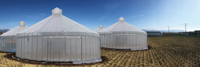営農型 ドーム型ビニールハウス