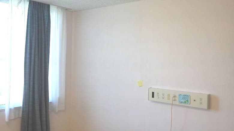 ローラーで塗る漆喰 しっくのん