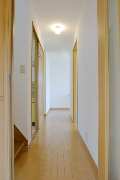 しっくい塗料【しっくのん】