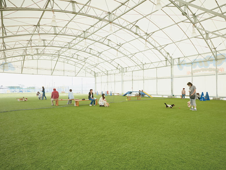 スポーツ施設テント