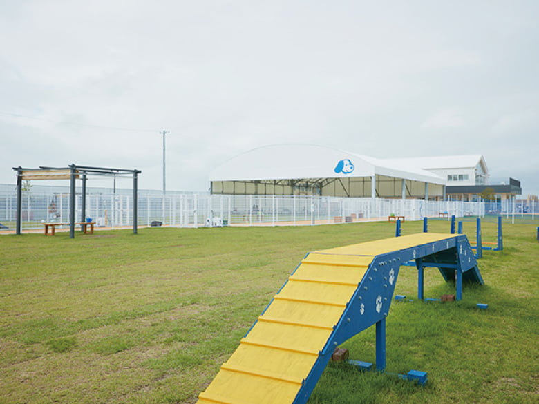 スポーツ施設テント