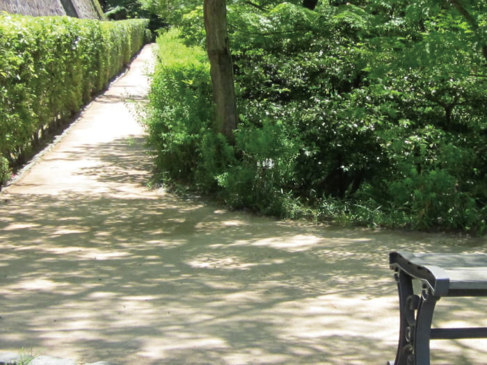 ガンコマサエボリューション