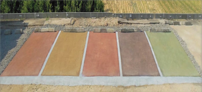 ガンコマサエボリューション